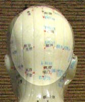 back of head
