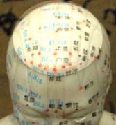 Top of head