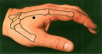 LI4 & bones in hand