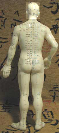 back view of full model